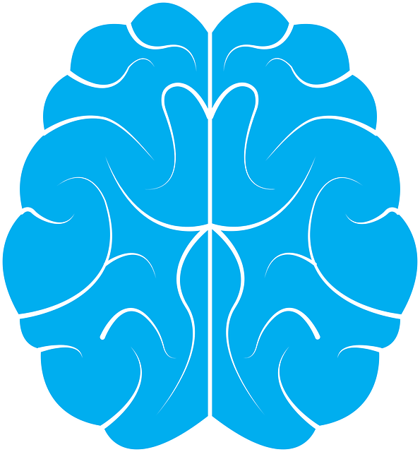 First aid for strokes Row 1 image