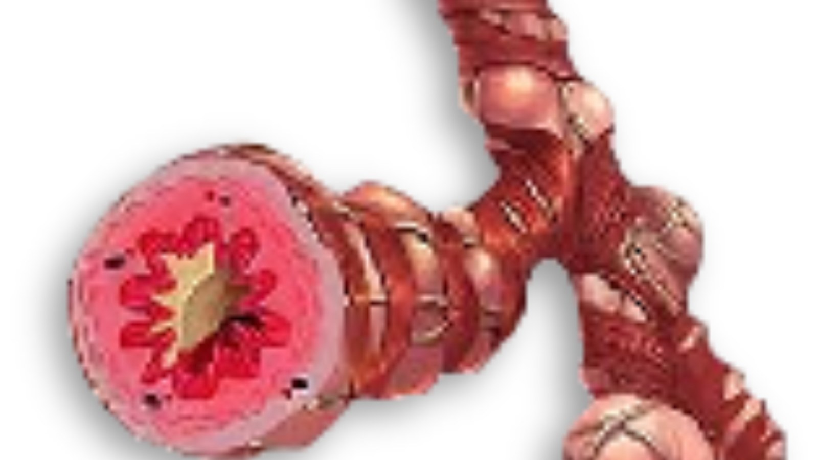 g_content_rows-repeater_items_title