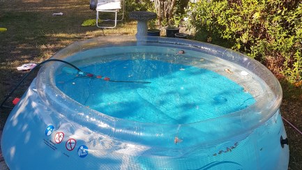 Water Safety Tips