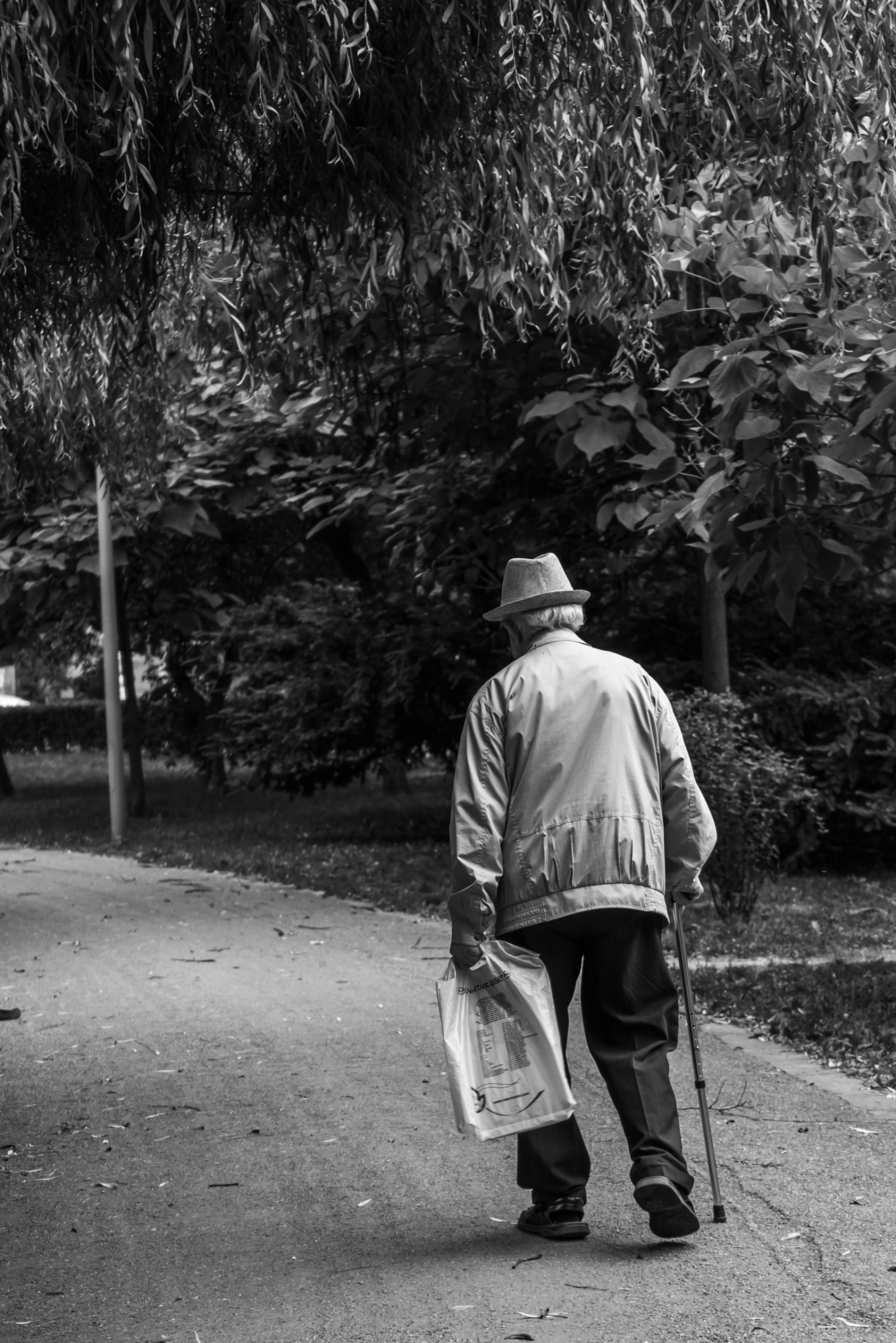 pexels photo 2586537
