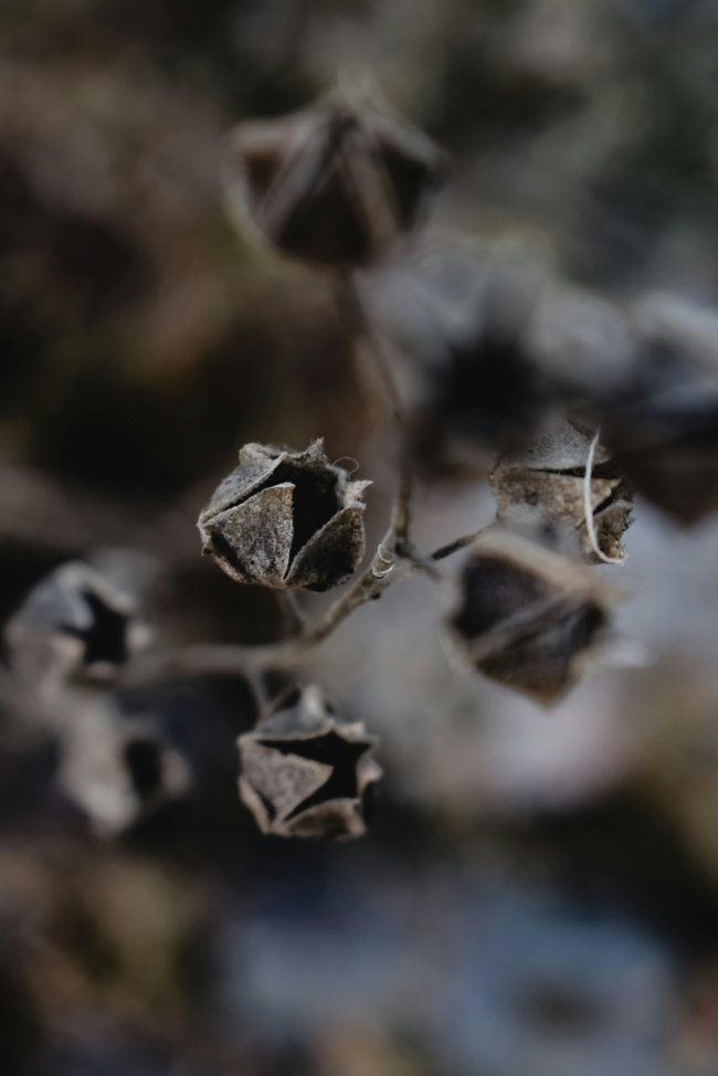 pexels photo 5949099
