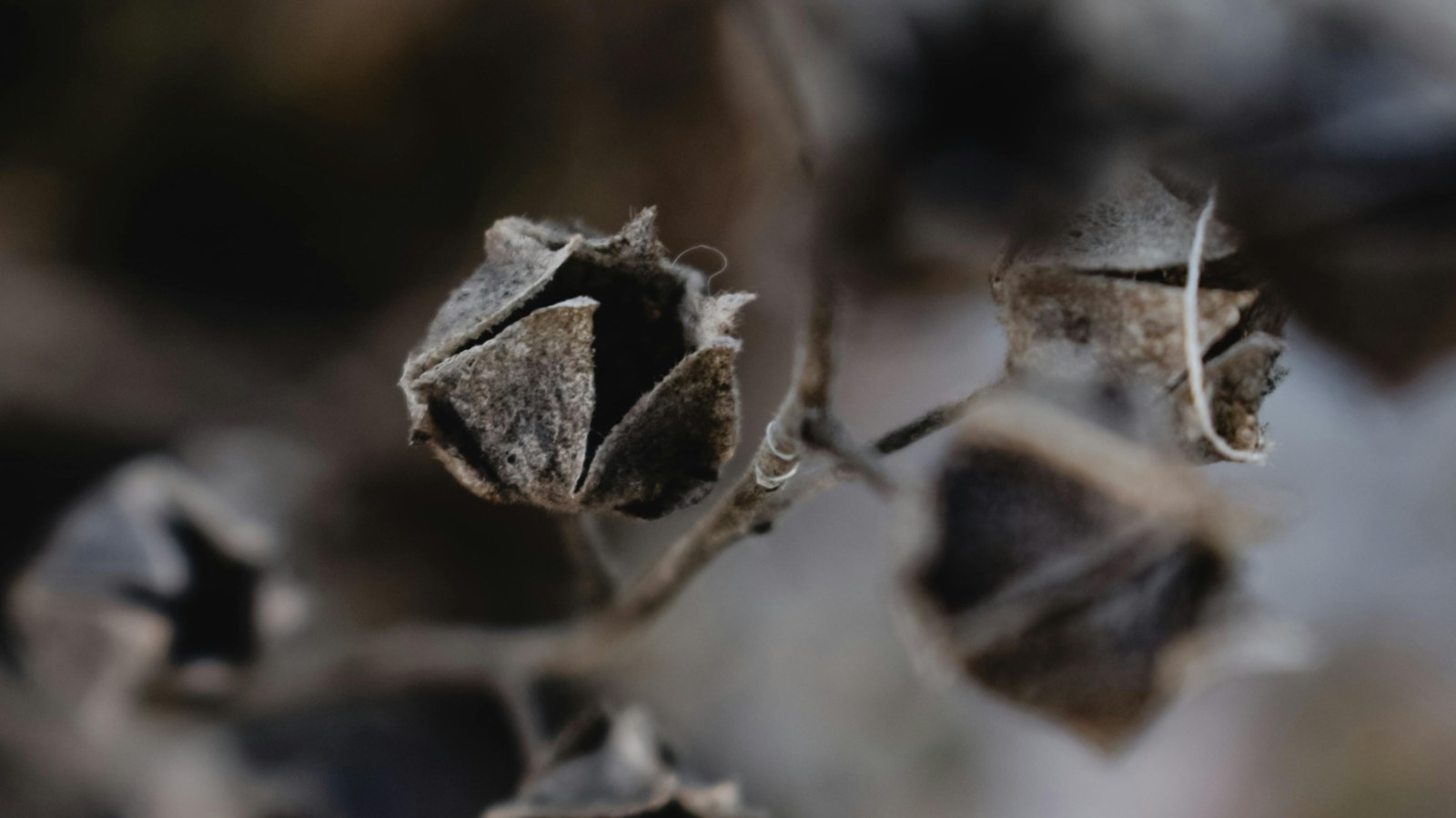 pexels photo 5949099