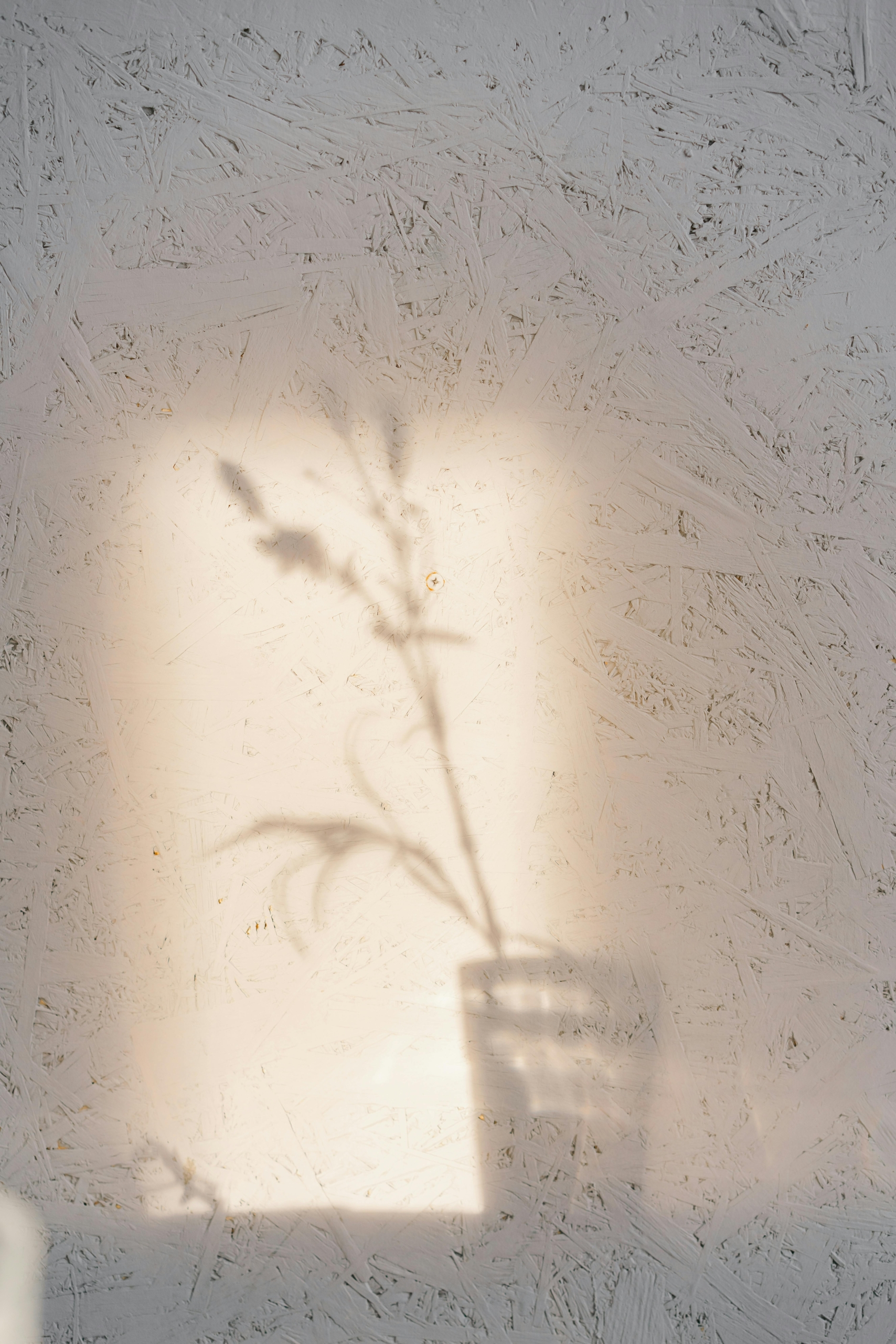 Breathe Easy: A Comprehensive Guide to Managing Hayfever