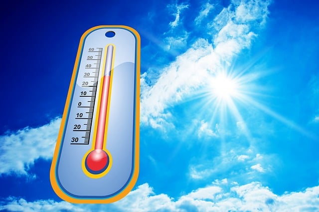 Beat the Heat: Your Guide to Coping with Heat Stroke