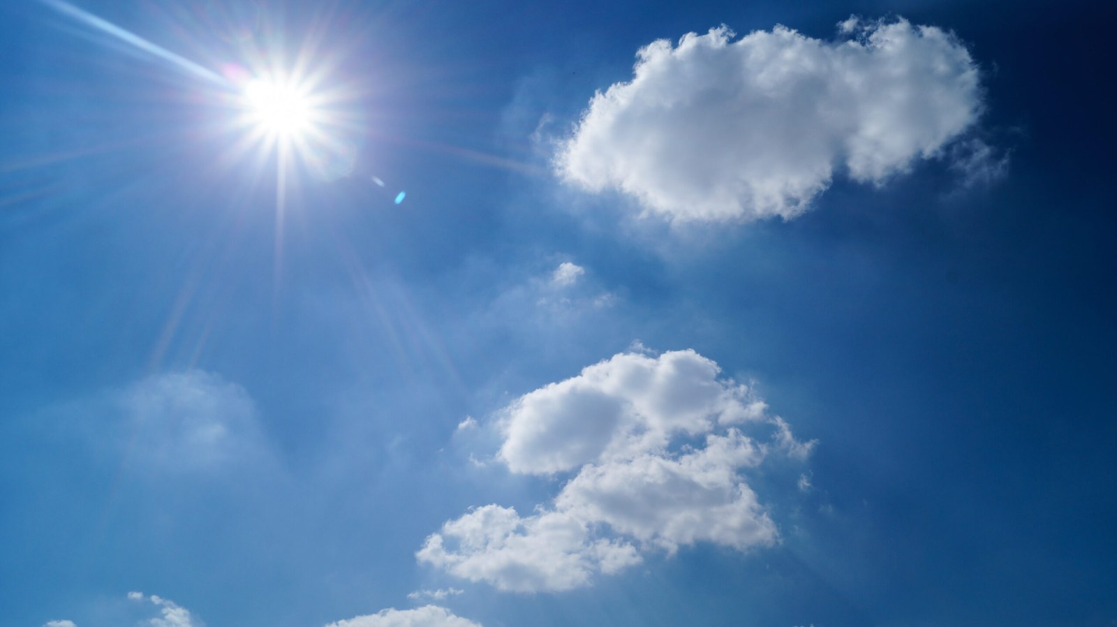 Top Tips for Surviving the heat