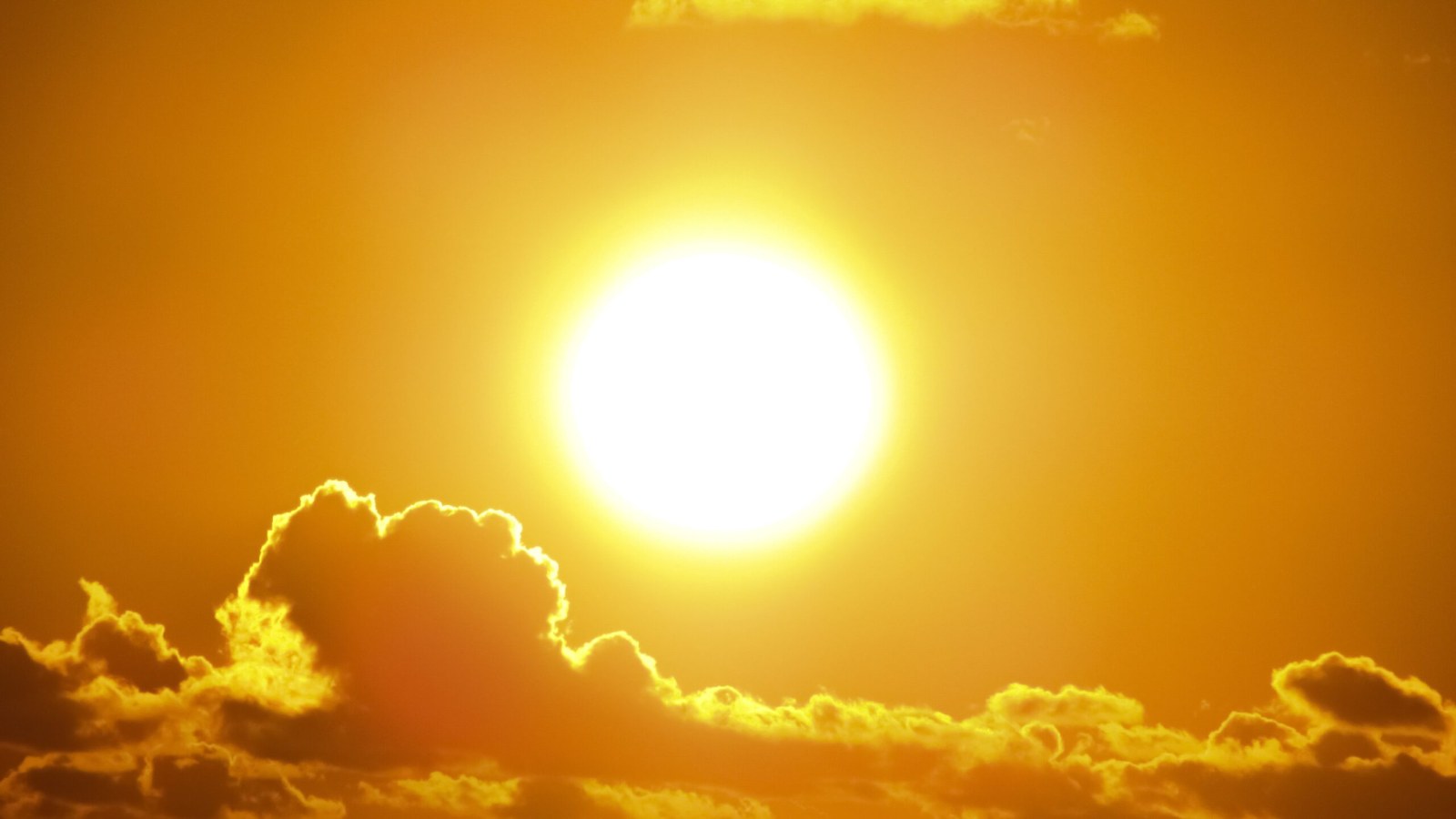Heat Exhaustion Row 1 image